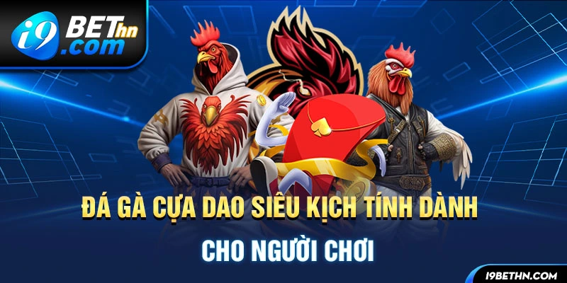 Đá gà cựa dao siêu kịch tính