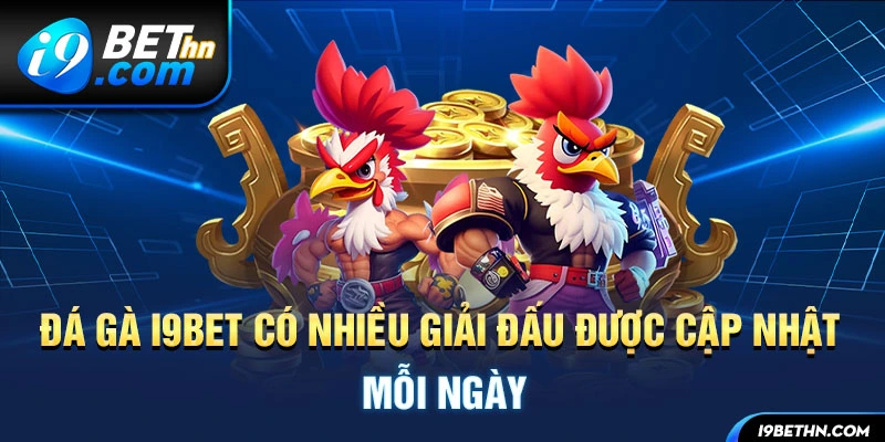 Đá gà i9bet có nhiều giải đấu được cập nhật mỗi ngày